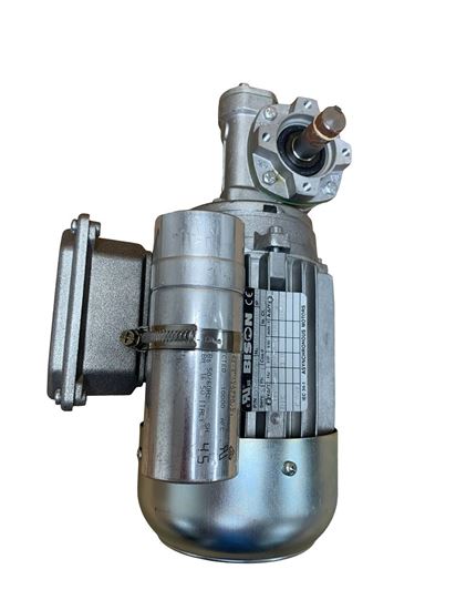 Picture of Right angle drive motor, B317-1/4 HP